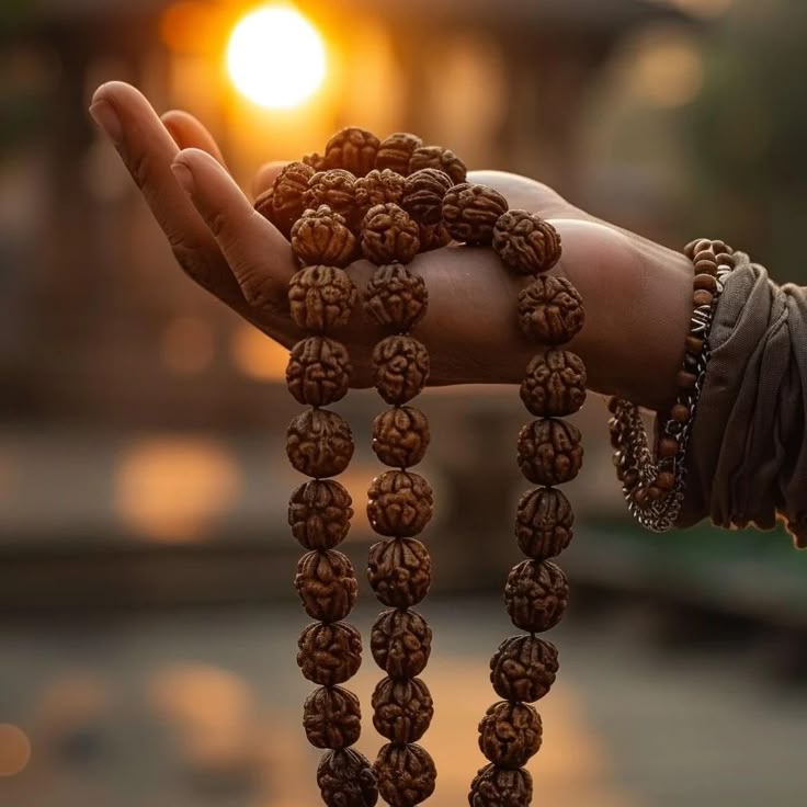 Rudrakshya